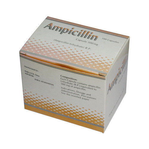 La ampicilina derivada sintética encapsula 250 medicaciones antibióticos orales del magnesio del magnesio 500